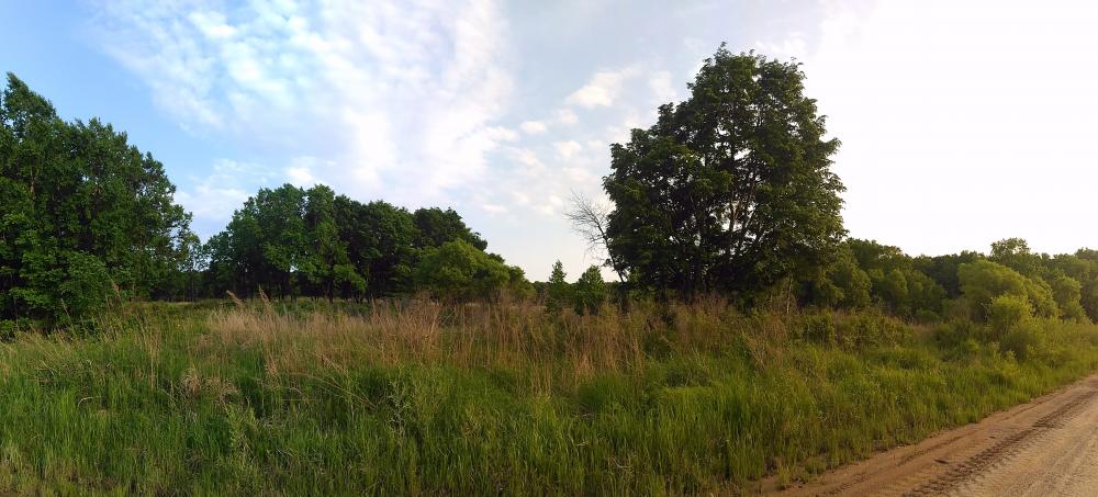 P_20160605_191755_PN.jpg