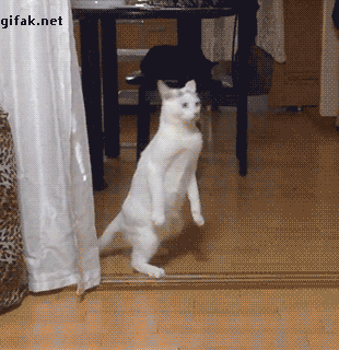 Kogda_chut-chut_pyanenkaya_prishla_domoy_i_staraeshsya_ne_spalitsya_pered_domashnimi.gif
