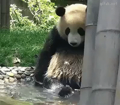 Nasha_zhizn_sostoit_iz_malenkikh_mgnoveniy_schastya_33__Poymal_eto_mgnovenie_i_raduysya_zhizni_33.gif