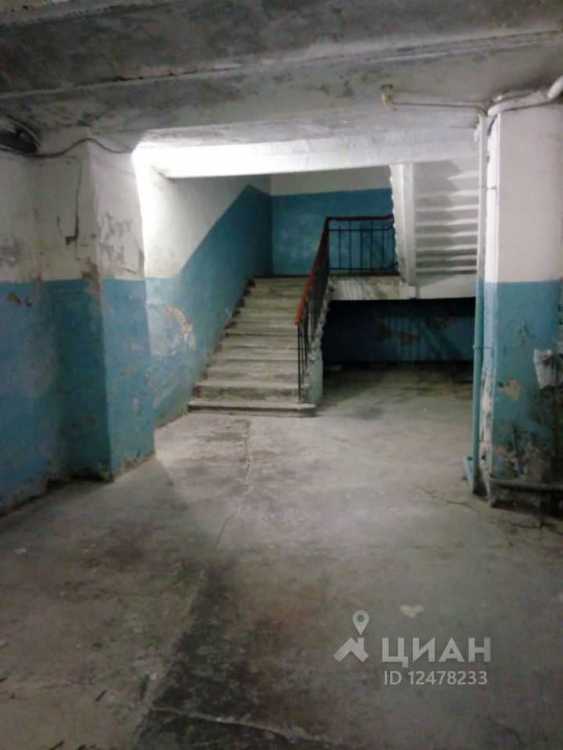 ужыссс.jpg