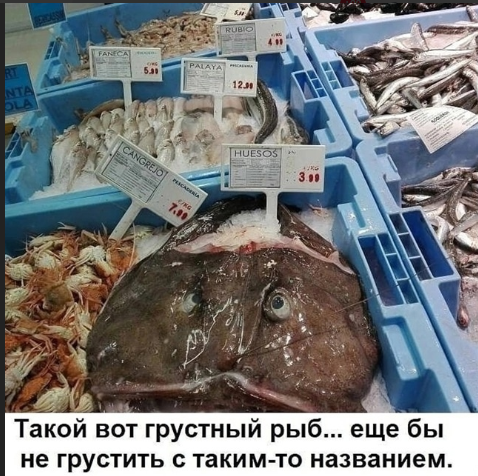 Screenshot_39.png.765ee50cec7b58c5fa2c4a1e6cede4d0.png