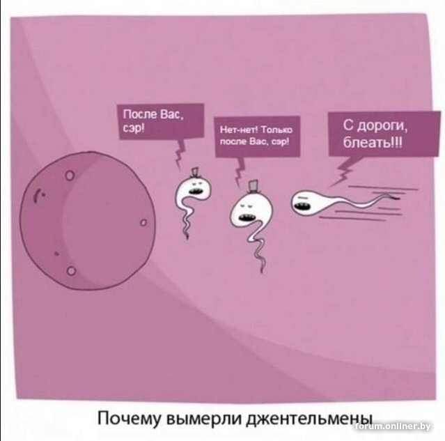 image.png.9f61af836d9382ce88a0d5b6e2734a75.png