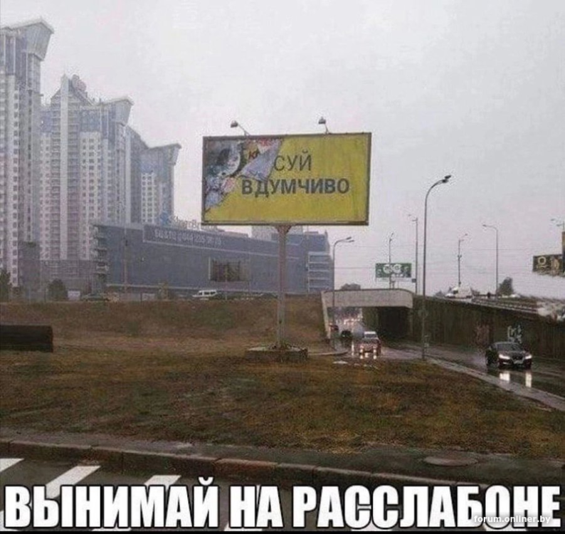 image.thumb.png.e050c47144cbecdb0587ab490228eaba.png