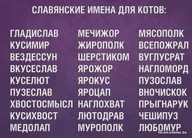 image.png.34cfd92bcb12e0f08b80dafde356de41.png