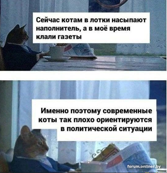 image.png.d50bae27cae10f0bcf56b87dbadebbfd.png