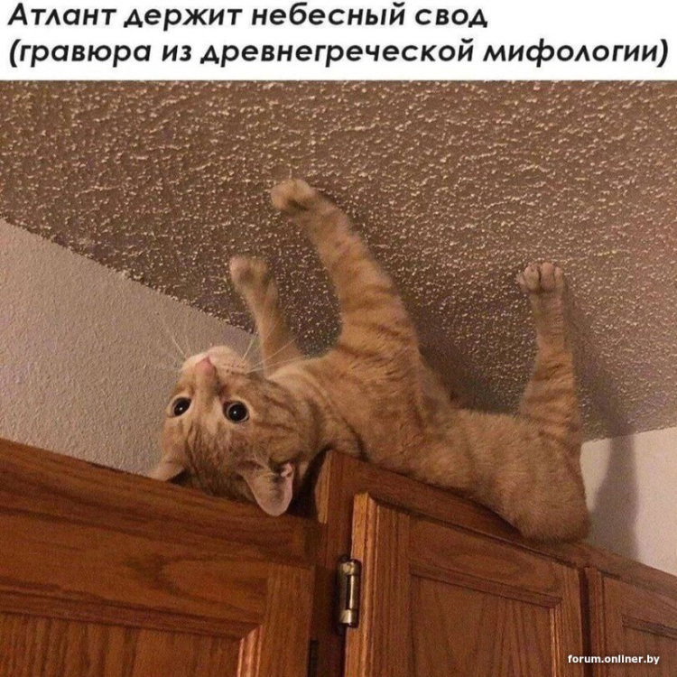 image.thumb.png.377ec0117b66ef600cf703e89bf6e8e9.png
